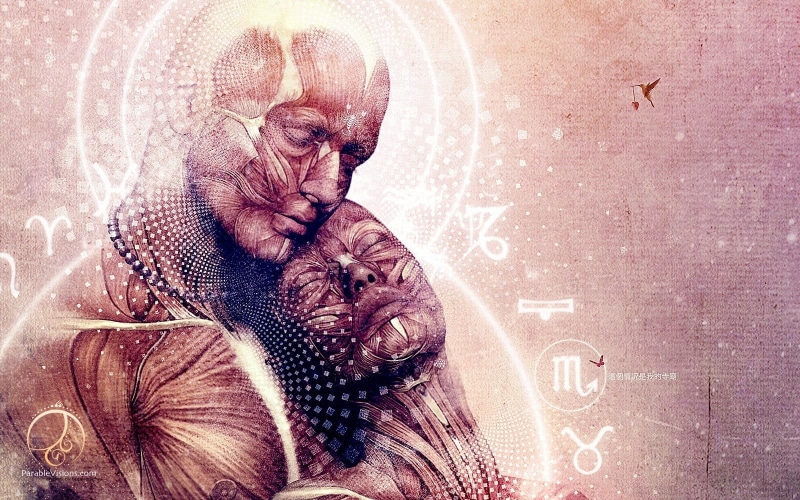 sacred geometry, man, illustration, woman, pets, feline, indoors, invertebrate, vertebrate, young animal, Cameron Gray, domestic, domestic animals, close-up