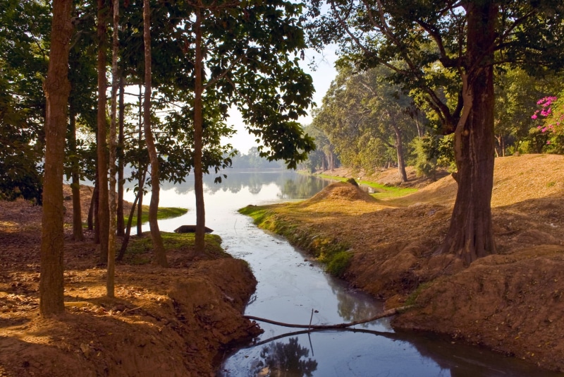 720P, water, river, tree, day, time, cambodia, scenics, trees, leaves, green, reap, landscape, photography, nature, outdoors, siem, forest