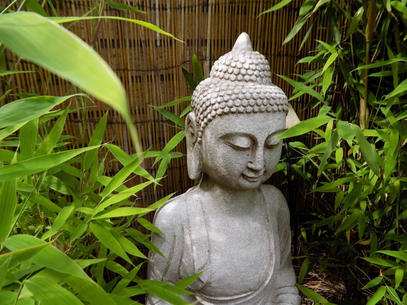 nature, gautama, cultures, buddhism, leaf, zen, sculpture, spiritual, idol, outdoors, 5K, buddha, human representation, art and craft, spirituality, no people