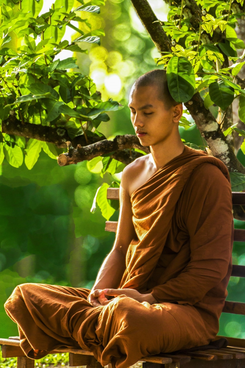 lifestyles, leisure activity, plant, wearing, monk, man, zen, peaceful, near, theravada buddhism, one person, relaxation, green color, real people, tree