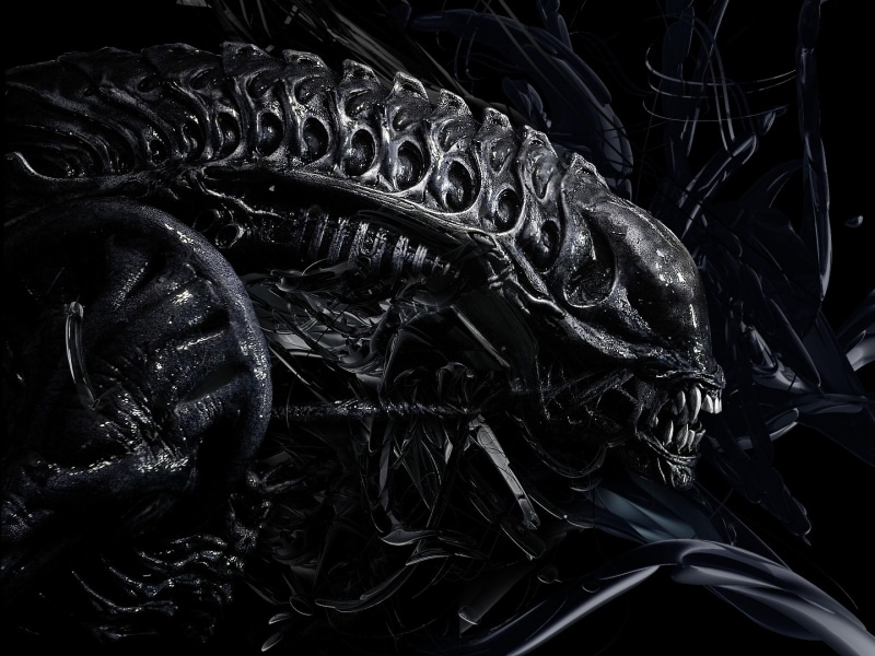 no people, Dark, Giger, Evil, abundance, design, ornate, Aliens, horror, fantasy, complexity, artistic, r, fi, close-up, high angle view, rope, textured