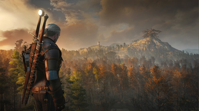 wearing, weapon, lifestyles, uniform, waist up, clothing, tree, standing, non-urban scene, holding, man, Geralt of Rivia, gray, plant, men, sky, video games