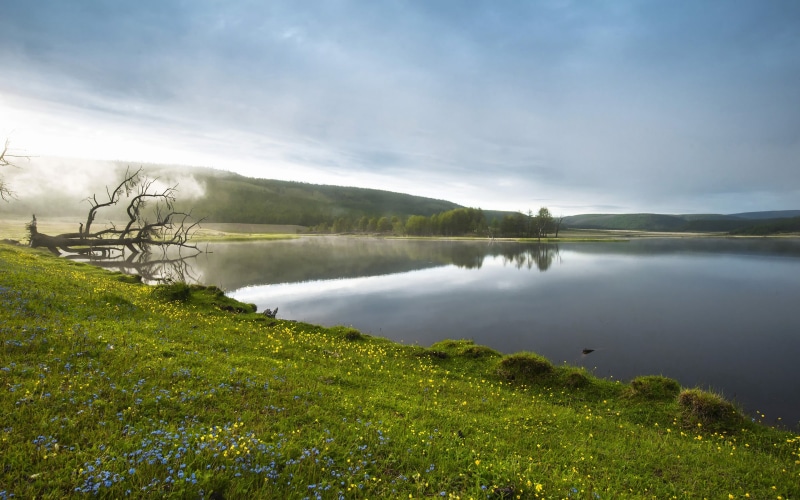 nature, spring, day, no people, scenics - nature, environment, tranquility, outdoors, daytime, plant, landscape, khuvsgul region, non-urban scene, morning haze