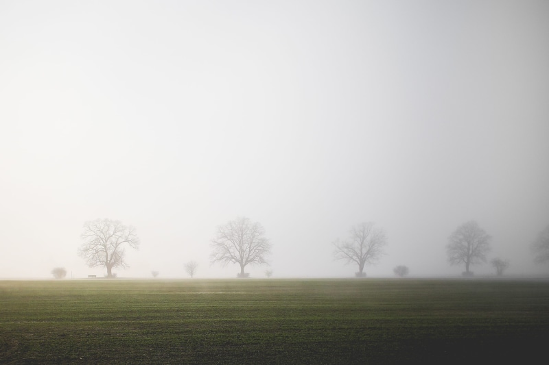 bench, non-urban scene, copy space, minimalistic, environment, land, sky, beauty in nature, tranquil scene, grass, scenics - nature, landscape, Foggy, green