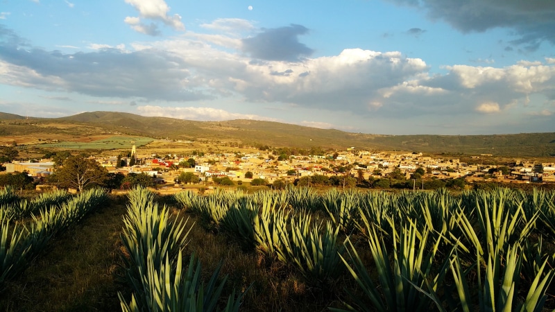 architecture, land, outdoors, Tequila, day, townscape, cloud - sky, blue, building exterior, Mexico, green, cloudy, sky, plants, tranquil scene, no people