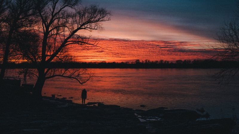body, person, scenics - nature, dawn, tranquil Scene, romantic sky, orange color, beside, 4K, beauty In Nature, night, tranquility, non-urban scene, bare tree