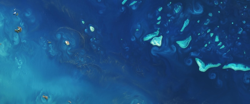 marine, animals in the wild, group of animals, underwater, animals in captivity, animal wildlife, 2K, ultrawide, animal themes, space, water, blue, vertebrate