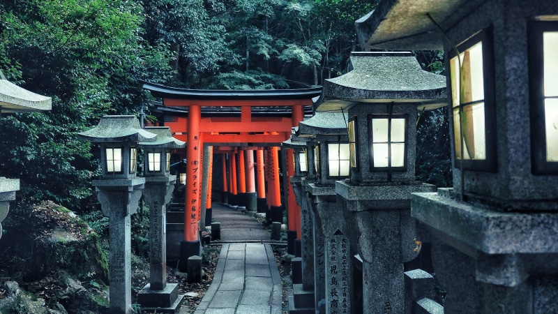 kyōto-shi, fushimi, architectural column, fushimi inari taisha, spirituality, plant, day, 4K, fushimi inari, kyoto, shrine, architecture, staircase, outdoors