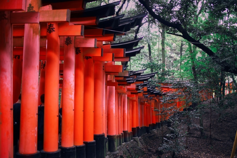 pagoda, building, buddhism, religion, travel, outdoors, japan, 5K, traditional, plant, heritage, red, kyoto, tourism, built structure, ancient, in a row