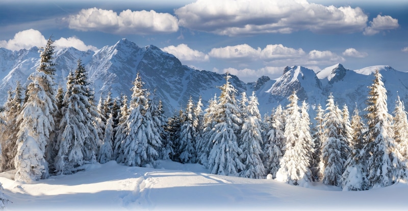 snow, blue, panoramic, winter, frozen, white color, 2K, land, scenics - nature, pine tree, coniferous tree, plant, environment, tree, sky, mountain peak
