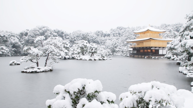 snow, water, built structure, Kyoto, day, nature, Japan, architecture, frozen, brown, temple, lake, tranquility, tree, plant, cold temperature, no people