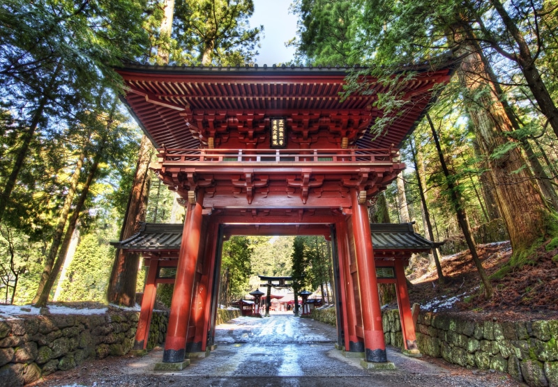 forest, gate, day, place of worship, park - man made space, Nikko, torii, no people, Japan, the way forward, plant, 5K, built structure, brown, tree, religion