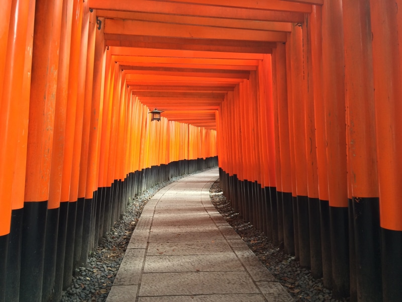 temple, kyoto, path, black, pathway, no people, outdoors, religion, toori, in a row, built structure, taisha, japanese, sightseeing, travel destinations