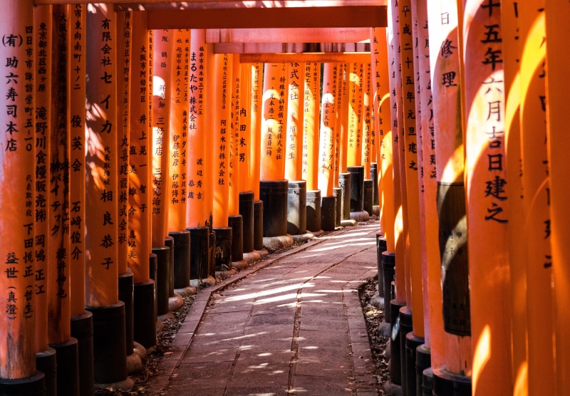 orange color, shadow, building, architecture, shrine, in a row, kyōto-shi, japan, place of worship, travel, religion, lined, torii, walkway, hiking, tunnel
