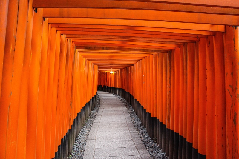 spirituality, path, orange, walkway, pathway, post, kyoto, place of worship, architecture, concrete, 5K, religion, orange gate, pavement, architectural column