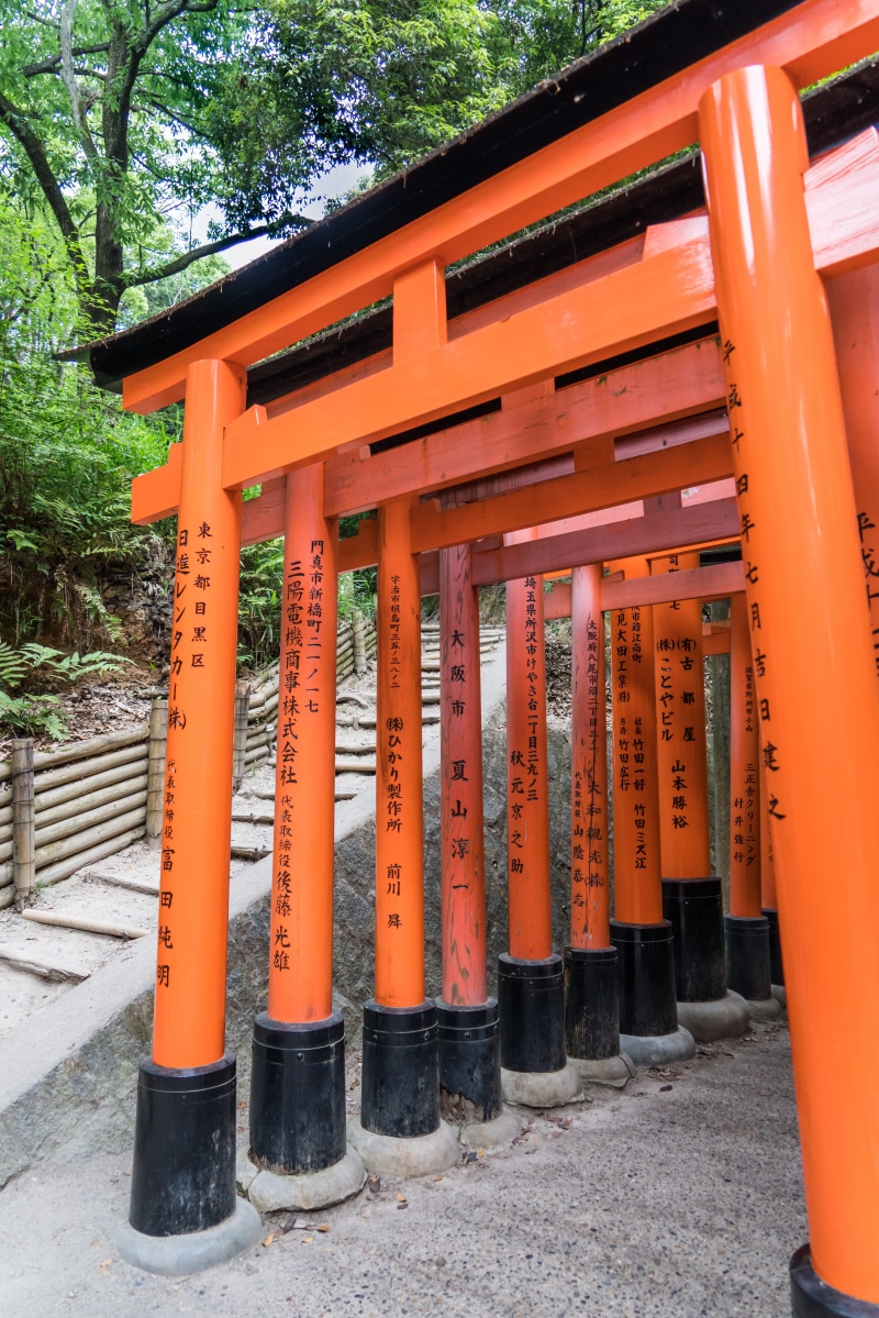 5K, place of worship, orient, built structure, history, culture, oriental, shrine, tree, no people, outdoors, orange, path, architectural column, inari