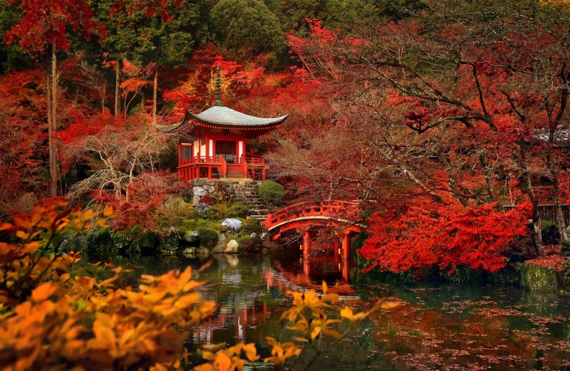 bridge, the temple Daigo-JI temple Bentendo Hall, 1080P, Kyoto, Japan, trees, pond, garden