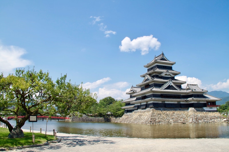 tree, 4K, building exterior, japanese, building, belief, nagano, cloud - sky, culture, attraction, body, samurai, tourism, ancient, architecture, built structure