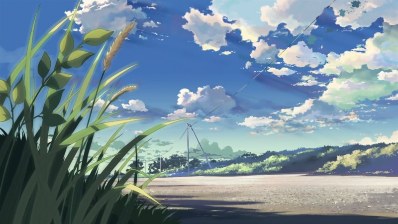 flowering plant, beach, beauty in nature, sky, outdoors, day, anime, reeds, sunlight, water, tranquility, sea, scenics - nature, 5 Centimeters Per Second