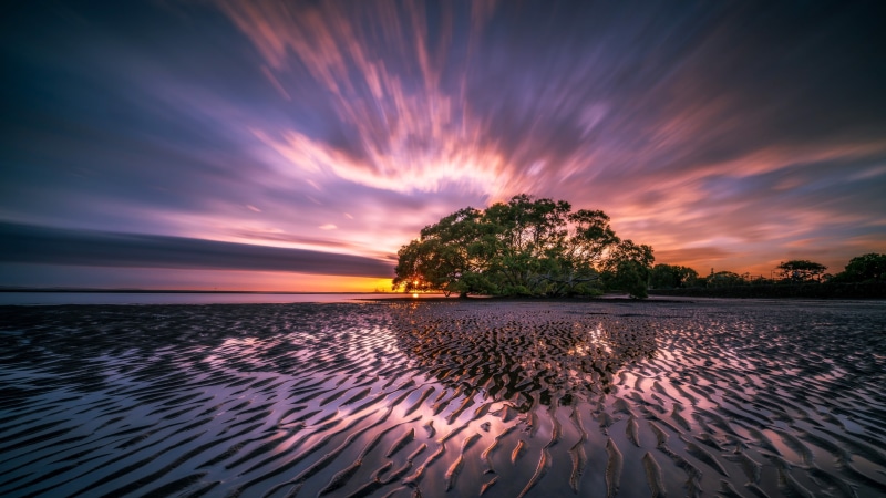 sky, outdoors, idyllic, clouds, tree, scenics - nature, land, beach, nature, 4K, dramatic sky, reflection, tranquil scene, waterfront, sea, sunset, landscape