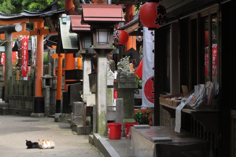 city, day, lantern, hanging, place of worship, japan, fushimi inari taisha, 2K, shrine, outdoors, belief, temple, lighting equipment, building exterior