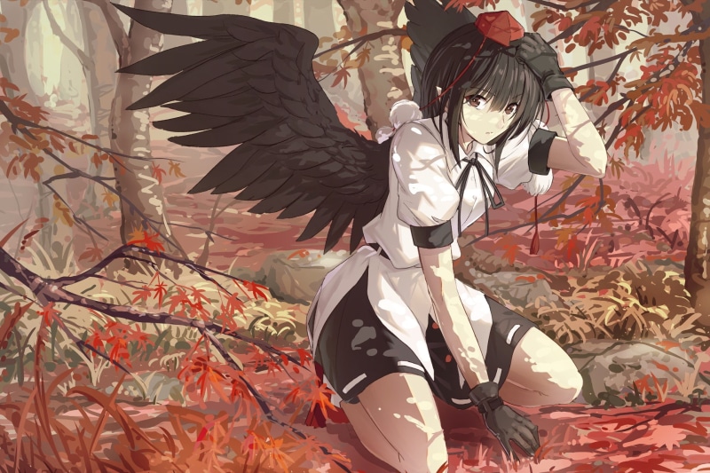 Anime, 1080P, Aya Shameimaru, Touhou