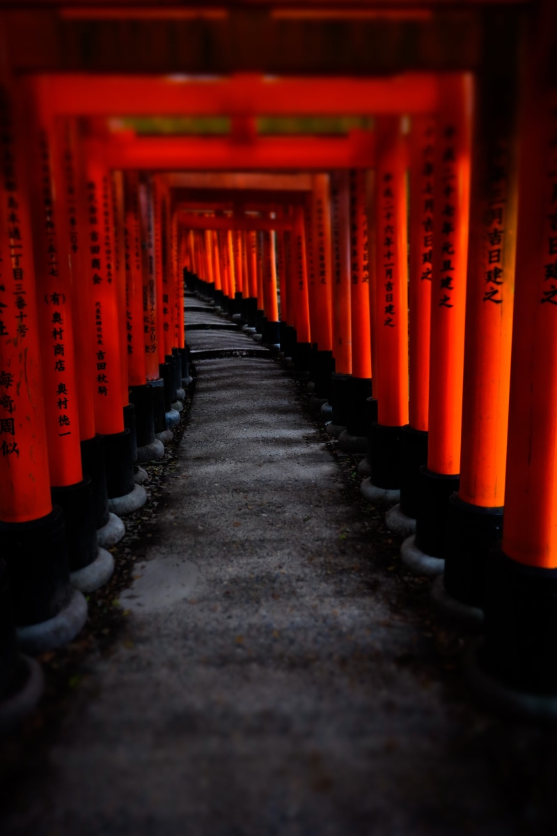 building, shrine, repetition, religion, diminishing perspective, belief, the way forward, spirituality, travel destinations, architectural column, long