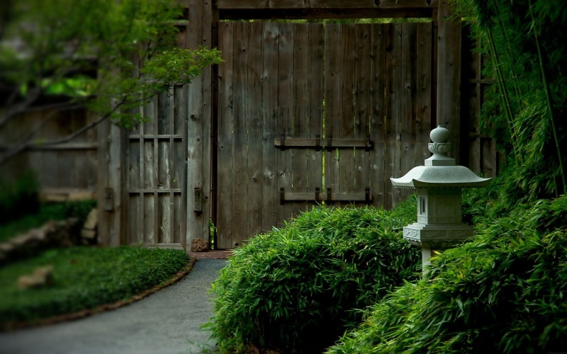 formal garden, gate, plant part, growth, barrier, water, protection, 1080P, architecture, front or back yard, day, built structure, green color, garden