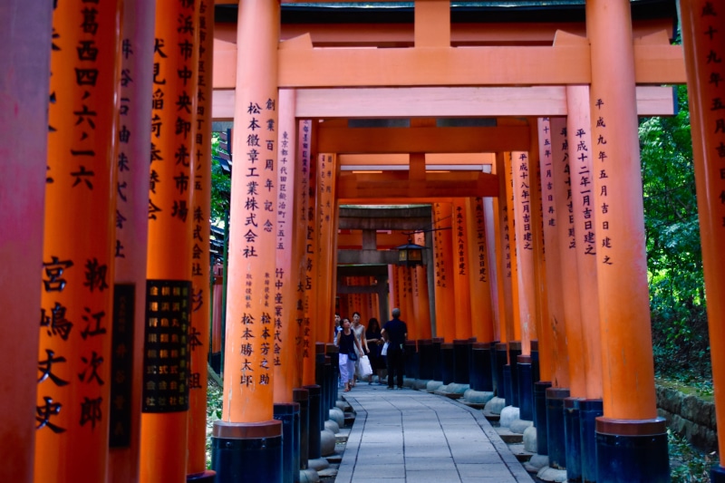script, tourism, outdoors, built structure, tokyo, 5K, travel destinations, the way forward, japanese, culture, shrine, kyoto, place of worship, belief