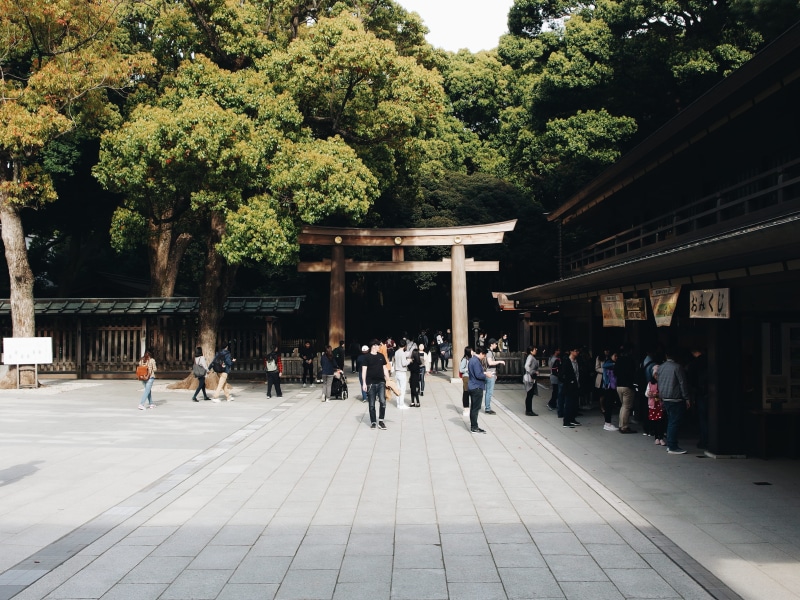 building, human, lifestyles, nature, plant, 4K, torii, road, person, city, apparel, real people, temple, men, town, column, women, architecture, large group of people