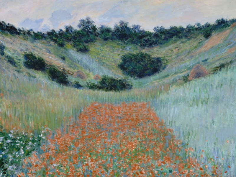 Poppy field in a Hollow near Giverny, day, water, outdoors, 2K, environment, picture, landscape, growth, cloud - sky, scenics - nature, non-urban scene