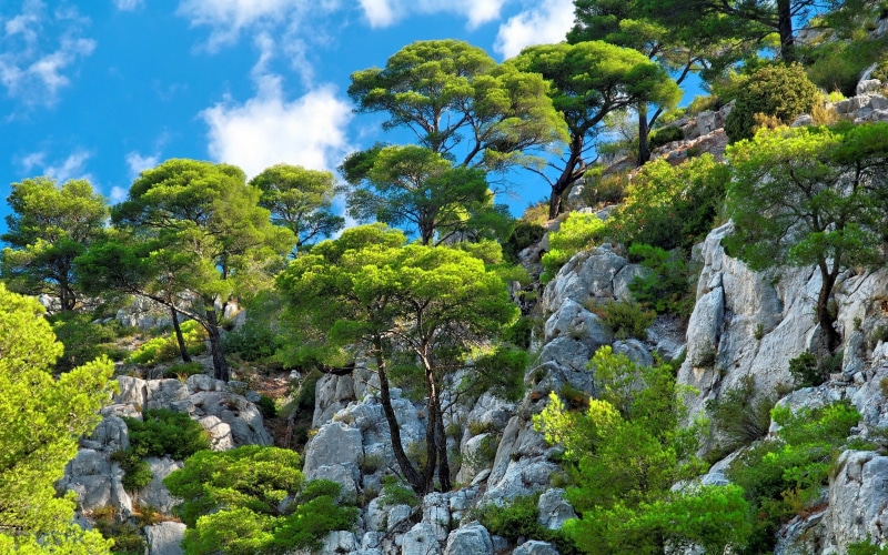 no people, blue, water, shrubs, mountains, green color, rock, rock - object, green, environment, scenics - nature, summer, tranquil scene, white, sunlight