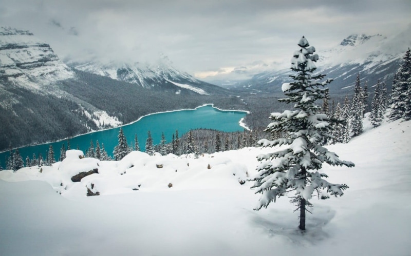 Banff National Park, pine, mountain, environment, forest, cold temperature, snow, 480P, plant, tranquil scene, winter, tree, Canada, landscape, mountains