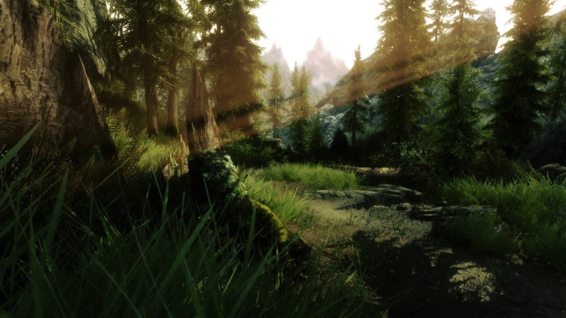 trees, forest, water, 720P, woodland, plant, tranquility, tree, sky, outdoors, land, green, day, beauty in nature, video games, no people, tranquil scene