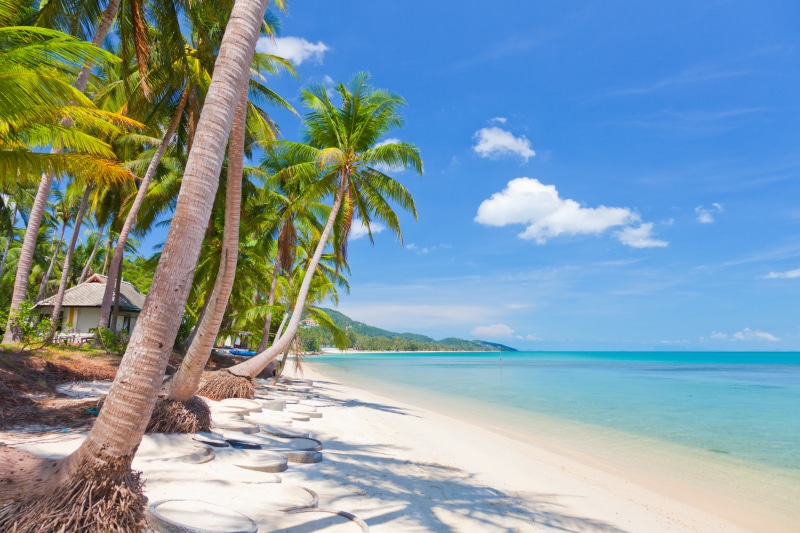coastline, caribbean Sea, leaf, sunny, idyllic, blue, travel Destinations, coconut, scenics, scenics - nature, sunlight, vacations, the sky, lagoon, cloud - Sky