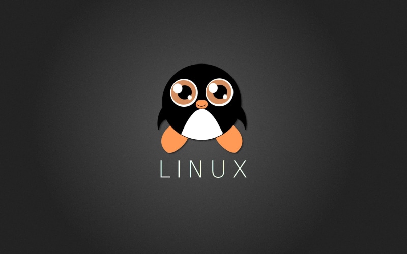 representation, close-up, copy space, studio shot, face, Penguin, circle, human representation, western script, communication, Tux, logo, anthropomorphic face