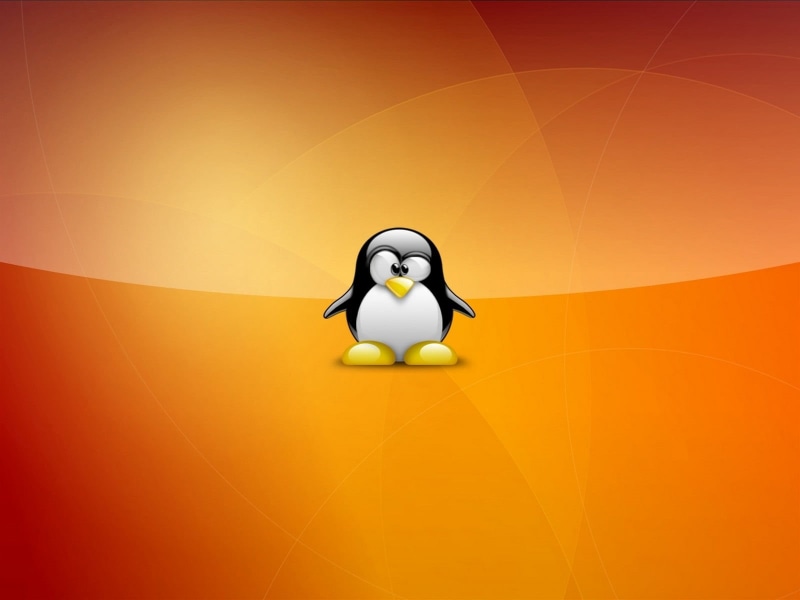 digital composite, orange color, colored background, computer, representation, ubuntu, fun, human representation, balloon, shape, penguin, linux ubuntu