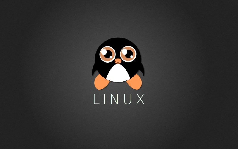2K, Tux, penguin, Linux