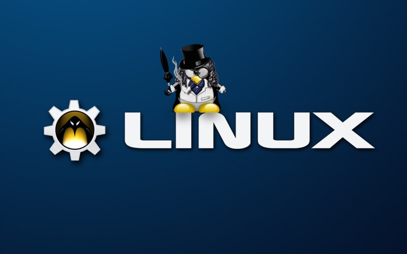 communication, standing, nature, logo, blue background, toy, Linux, copy space, Tux, figurine, western script, penguins, human representation, 1080P, text