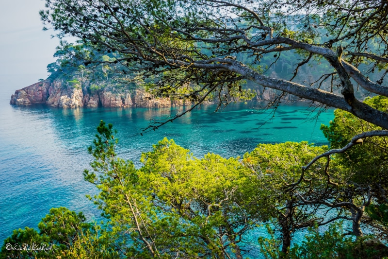 4K, landscape, tree, sea, summer, costa  brava, island, water, scenics, mountain, beach, near, sony, body, Costa Brava, coastline, cala, nature, cliff