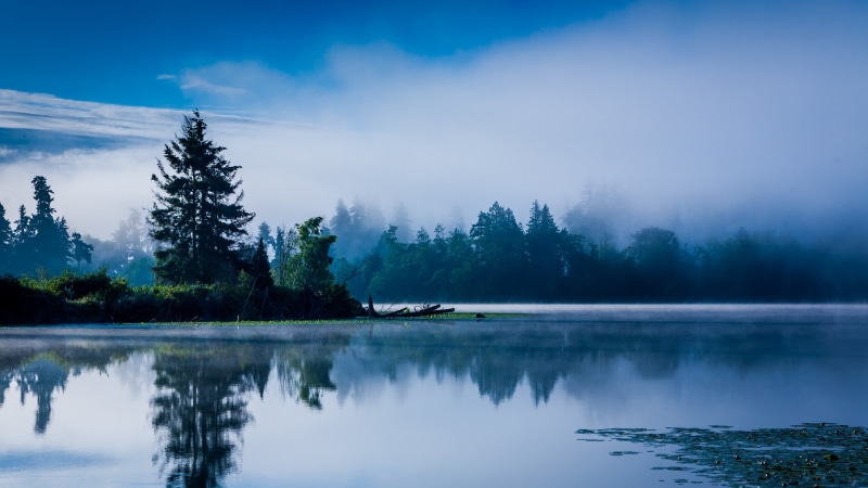 no people, green, idyllic, blue, coniferous tree, Washington state, tranquility, scenics - nature, beauty in nature, sky, growth, lake, 2K, water, outdoors