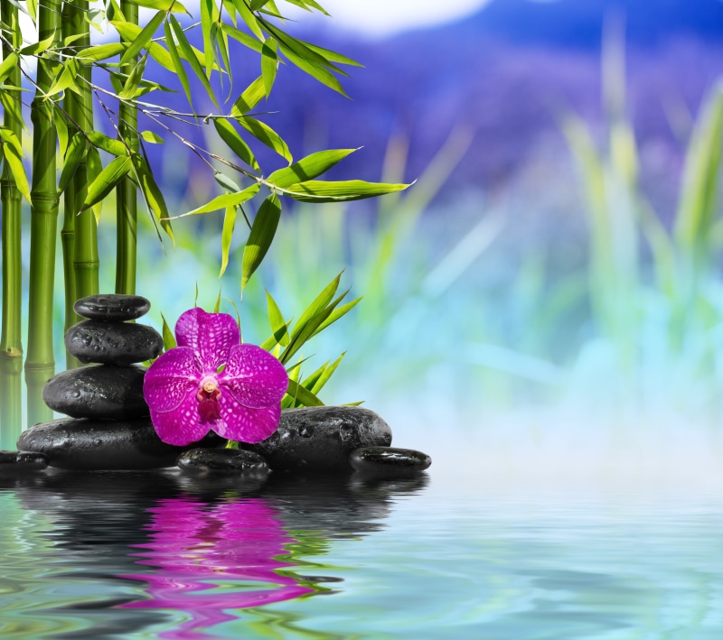 backgrounds, rock, zen-like, black Color, black, water, balance, no people, outdoors, flower, stones, waterfront, spa, leaf, lake, solid, massaging, growth