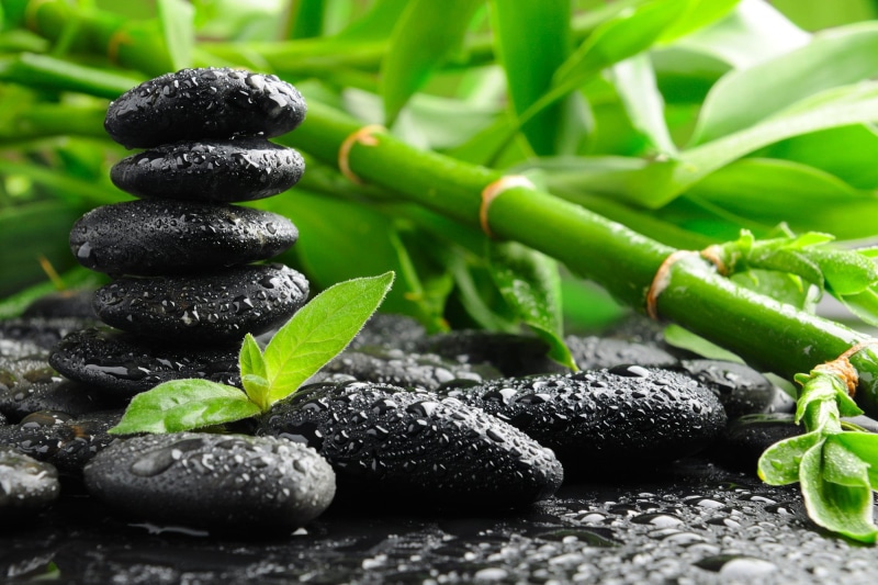 beauty Treatment, 1080P, close-up, east Asian Culture, bamboo - Plant, freshness, massaging, leaf, day, solid, black, stone, feng Shui, plant part, healthy Lifestyle