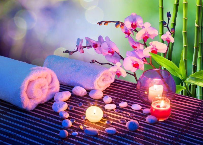 beauty in nature, backgrounds, Spa, Orchid, freshness, illuminated, 2K, beauty, flower, zen-like, moth, outdoors, relaxation, bamboo, fragility, focus on foreground