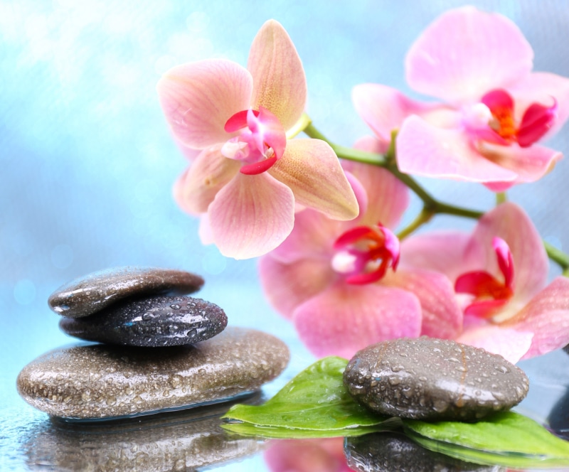 relaxation, beauty In Nature, flower, nature, pebble, vulnerability, spa Treatment, Orchid, plant, Spa stones, droplets, freshness, still life, flowers