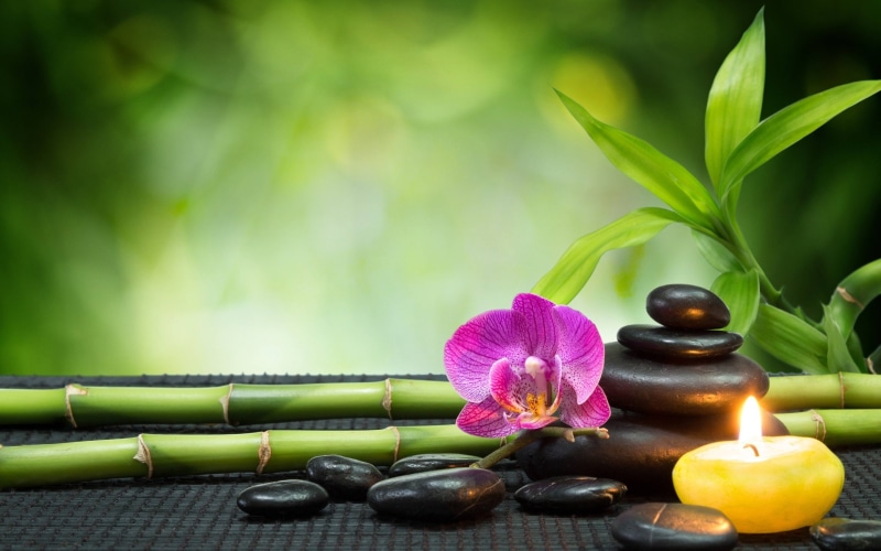 green color, nature, 2K, plant part, focus on foreground, beauty in nature, orchids, leaves, massage, still life, purple, bokeh, leaf, bamboo, candles