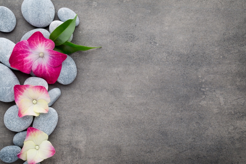 stones, studio shot, fragility, zen, pink, petal, plant, flower, nature, 5K, no people, copy space, vulnerability, concrete, freshness, high angle view