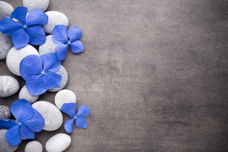 stones, flowers, 5K, spa, blue, zen