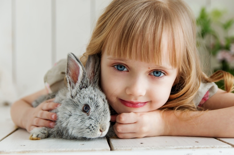 blond hair, kid, girls, girl, hairstyle, headshot, petting, young, baby, nice, hug, surface, grey, bangs, hair, bunny, gray, lying, positive emotion, smiling