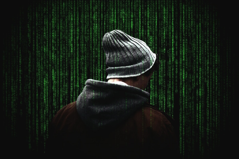 one person, wall, safety, whitehat, privacy, cybersecurity, business, computer security, internet, plant, access, clothing, nature, obscured face, virus
